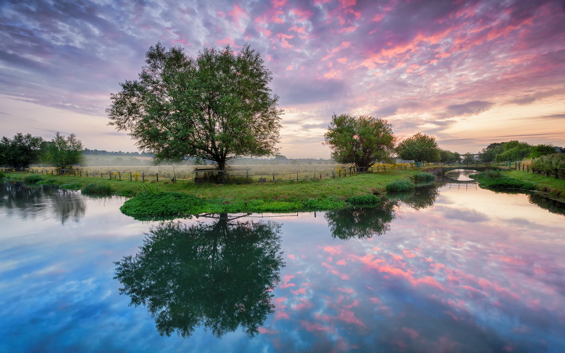 fiume ponte alberi campo mattina alba estate