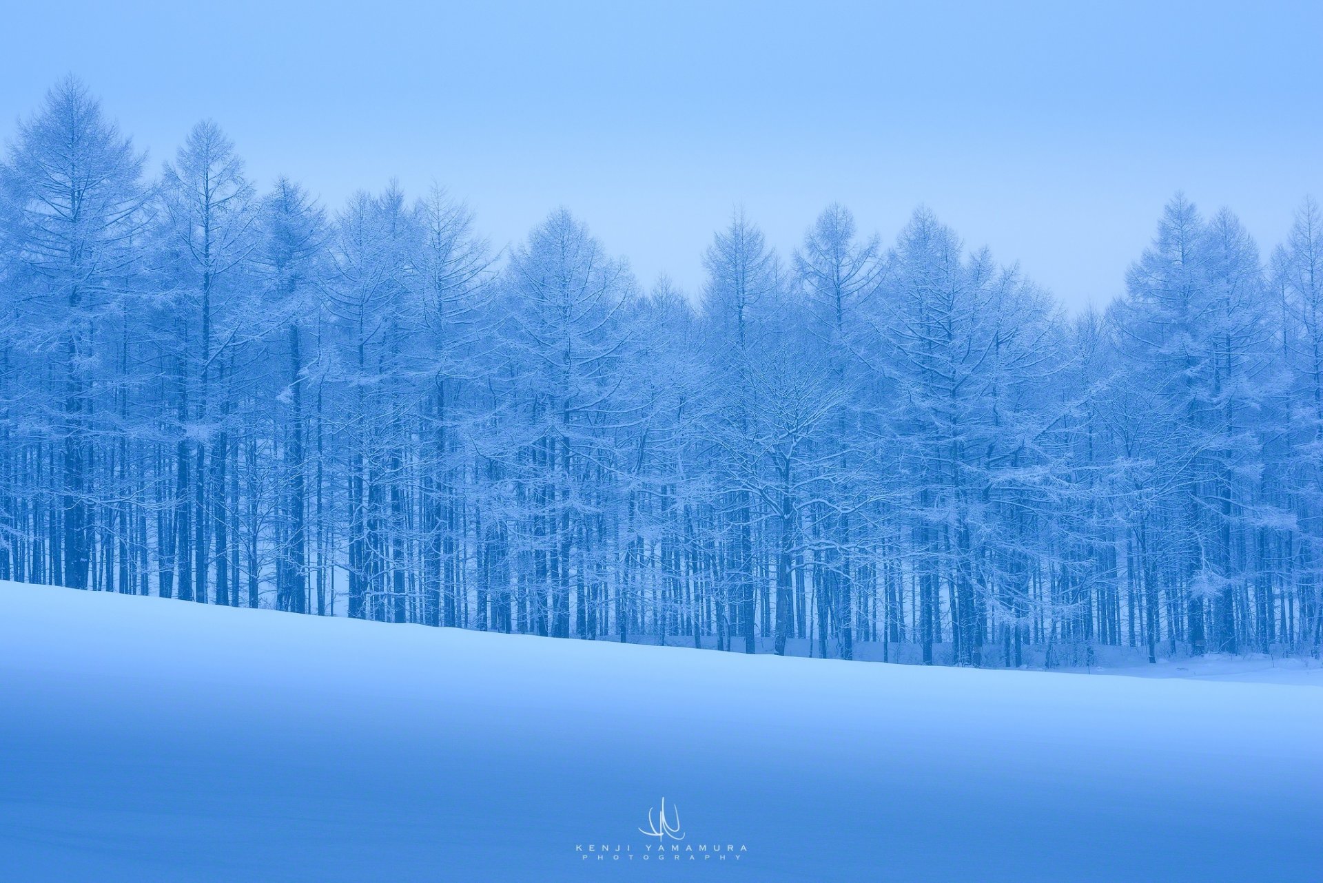 kenji yamamura photographer snow tree frost cool