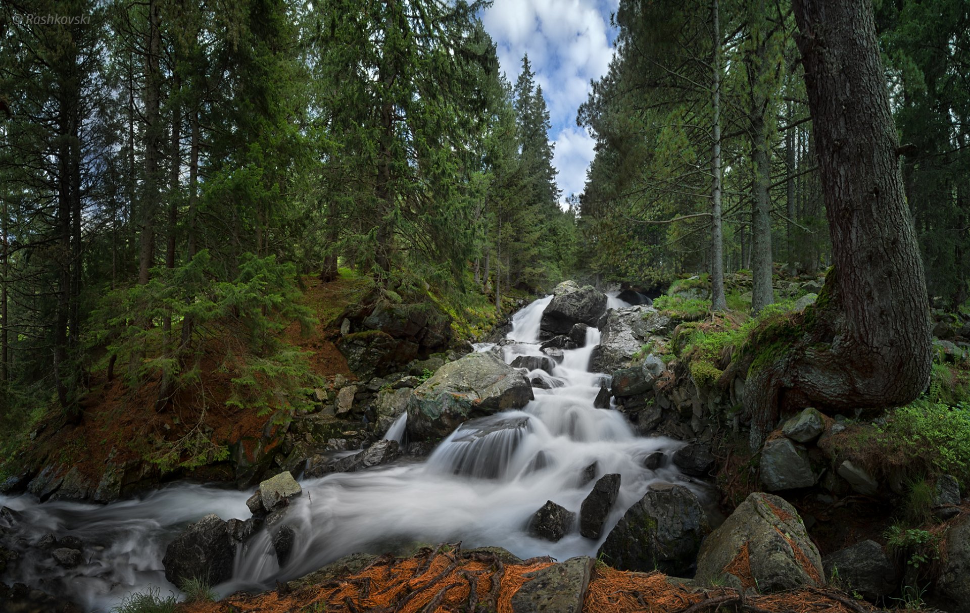 cascada kakavica parque nacional de rila bulgaria parque nacional de rila cascada bosque