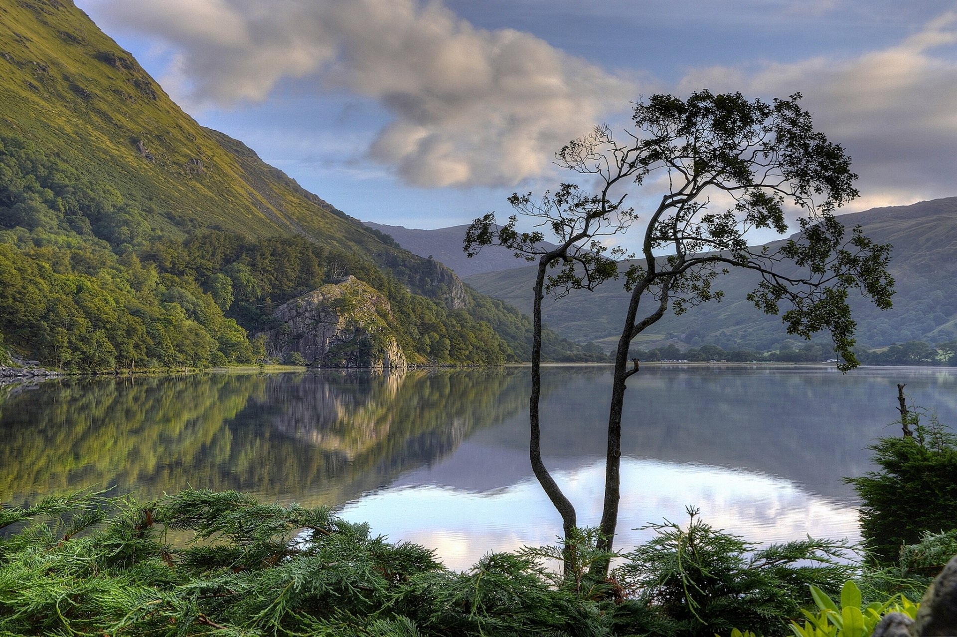 gwynant lago nantes gwynant valle snowdonia parco nazionale snowdonia galles inghilterra lago montagna albero riflessione