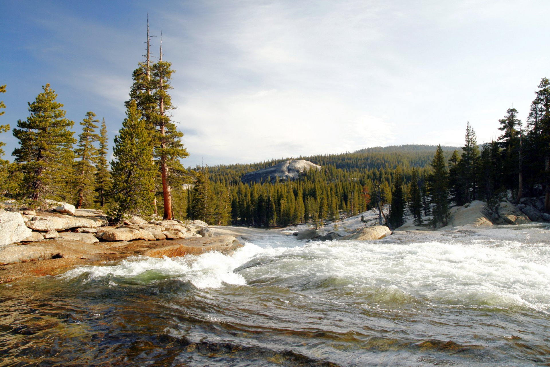 usa yosemite national park kalifornien wald bäume fluss tuolumne strömung stürmischer strom ufer steine