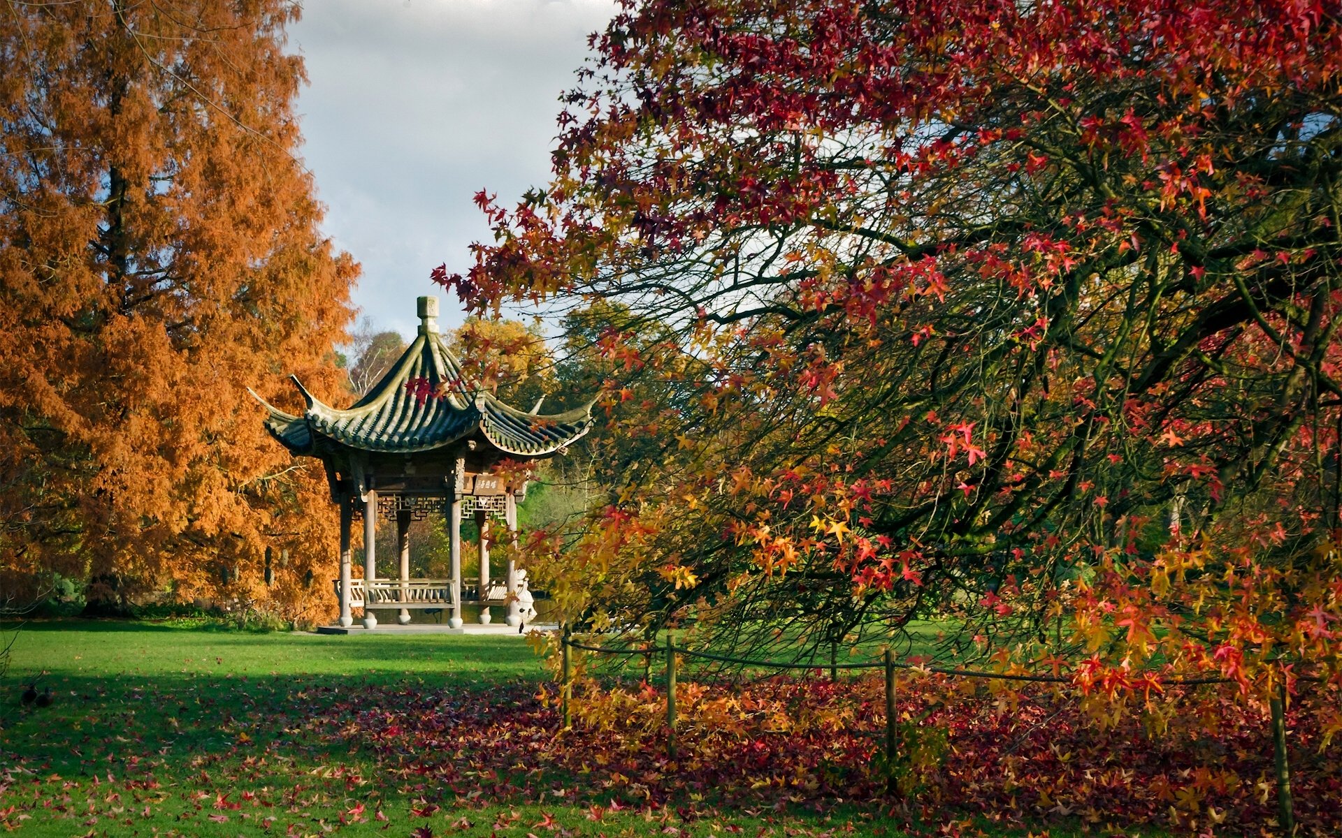 ogród rit wisley anglia wisley ogród botaniczny pagoda altana drzewa jesień