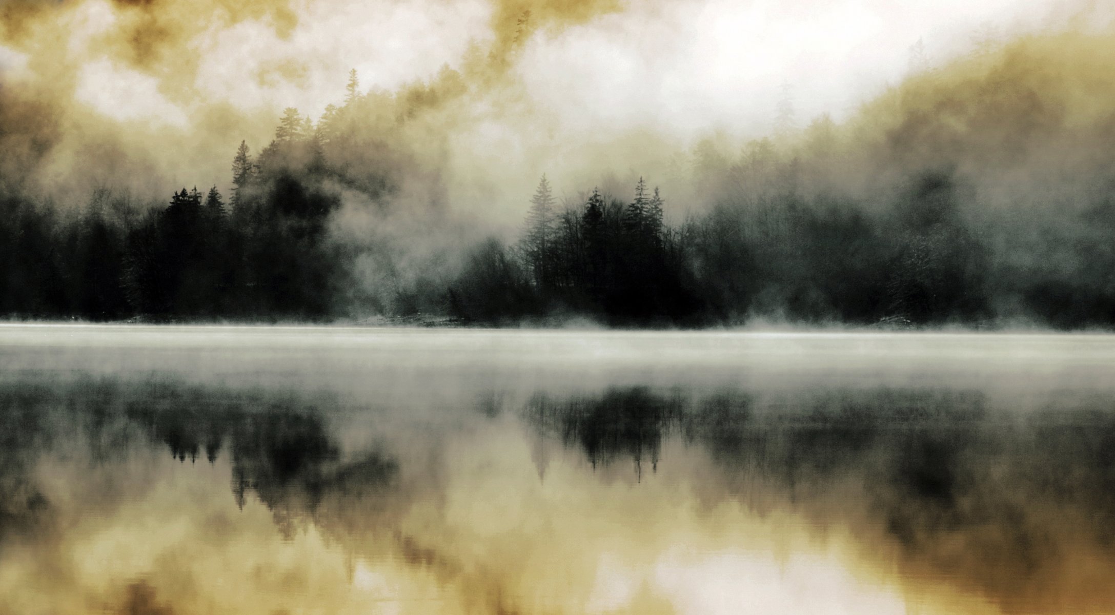 forest lake fog reflection