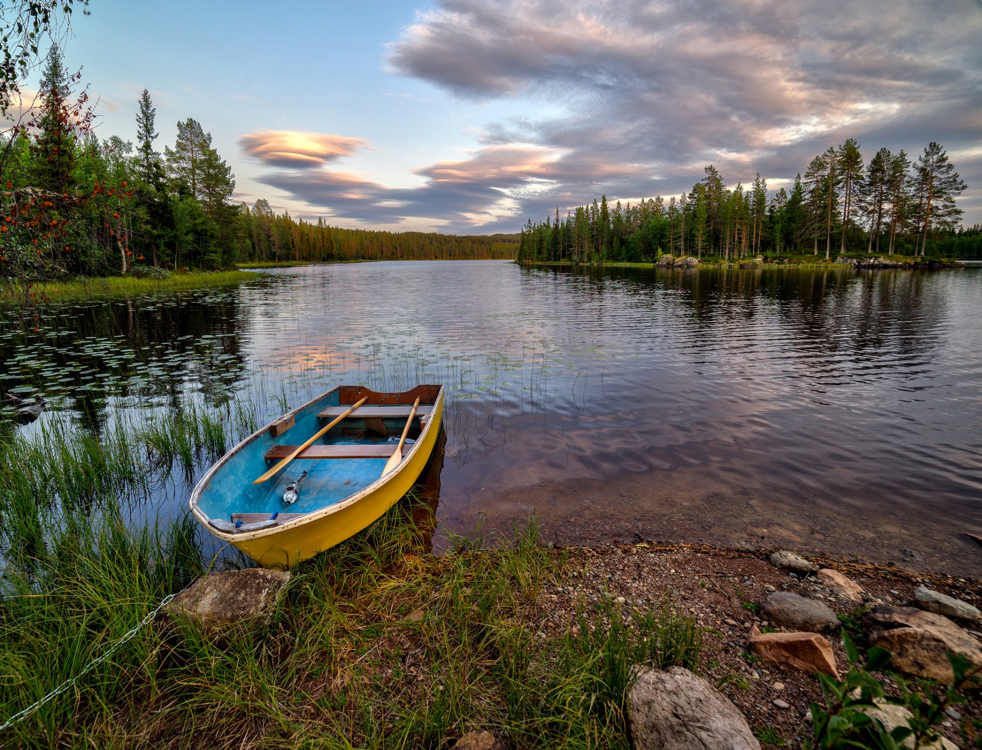 hedmark fylke norway forest lake the island tree beach boat stone