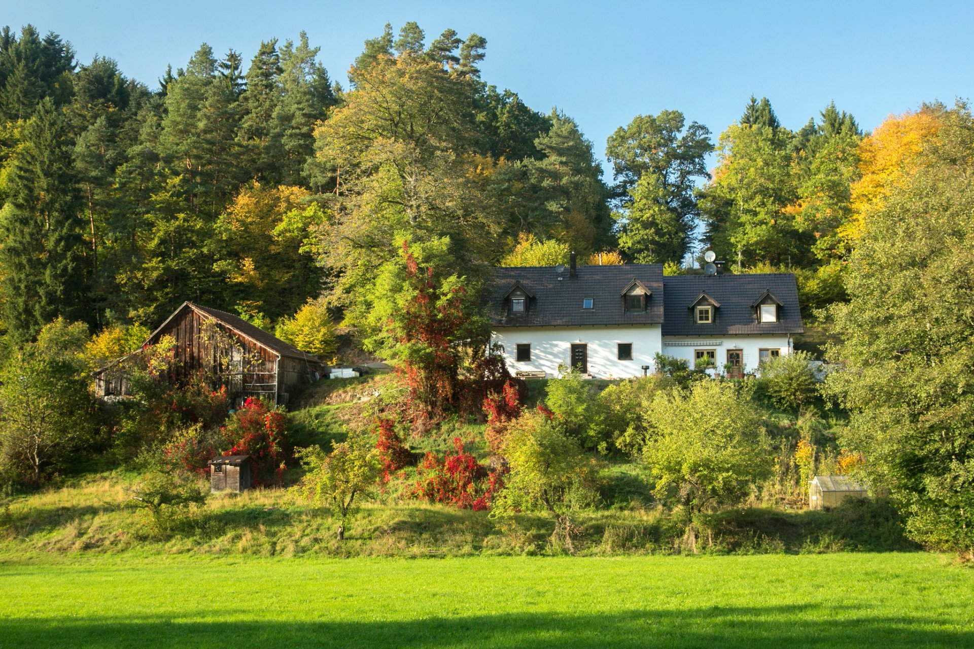 deutschland bayern häuser bäume hang lichtung gras grün sonne