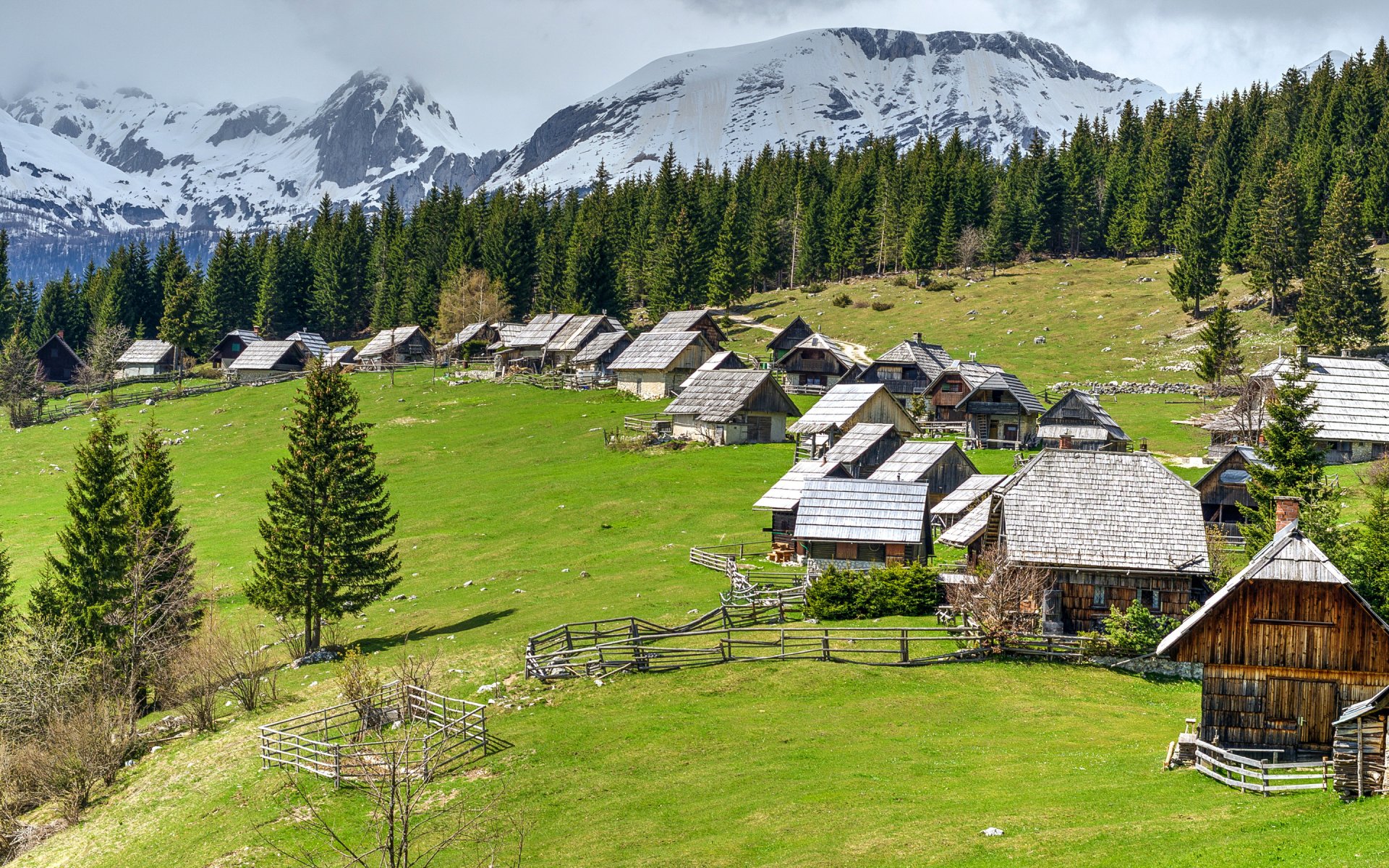 lovenia pokljuka mountain forest field house