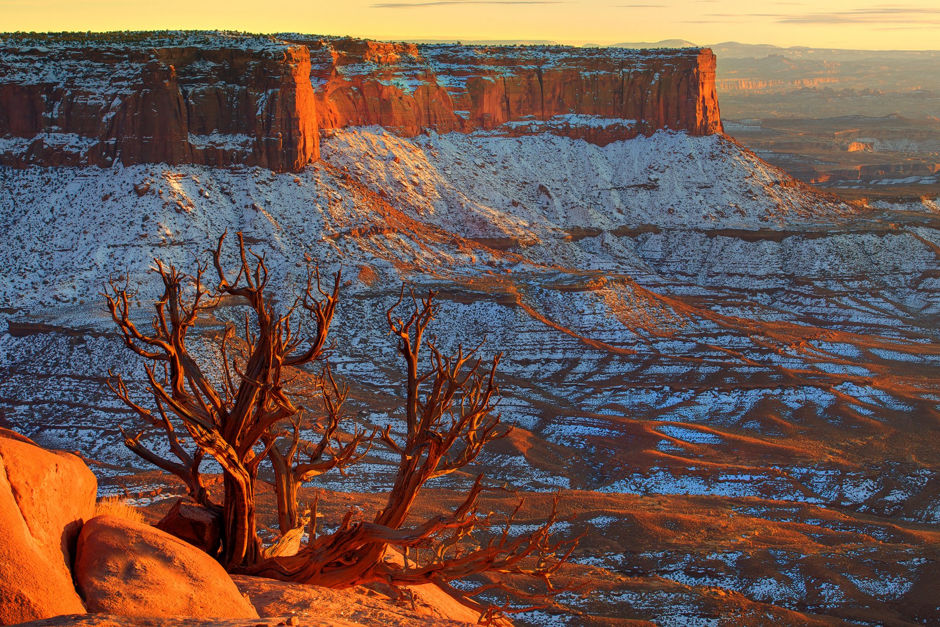 canyonlands utah estados unidos cielo horizonte puesta de sol cañón nieve piedras árbol