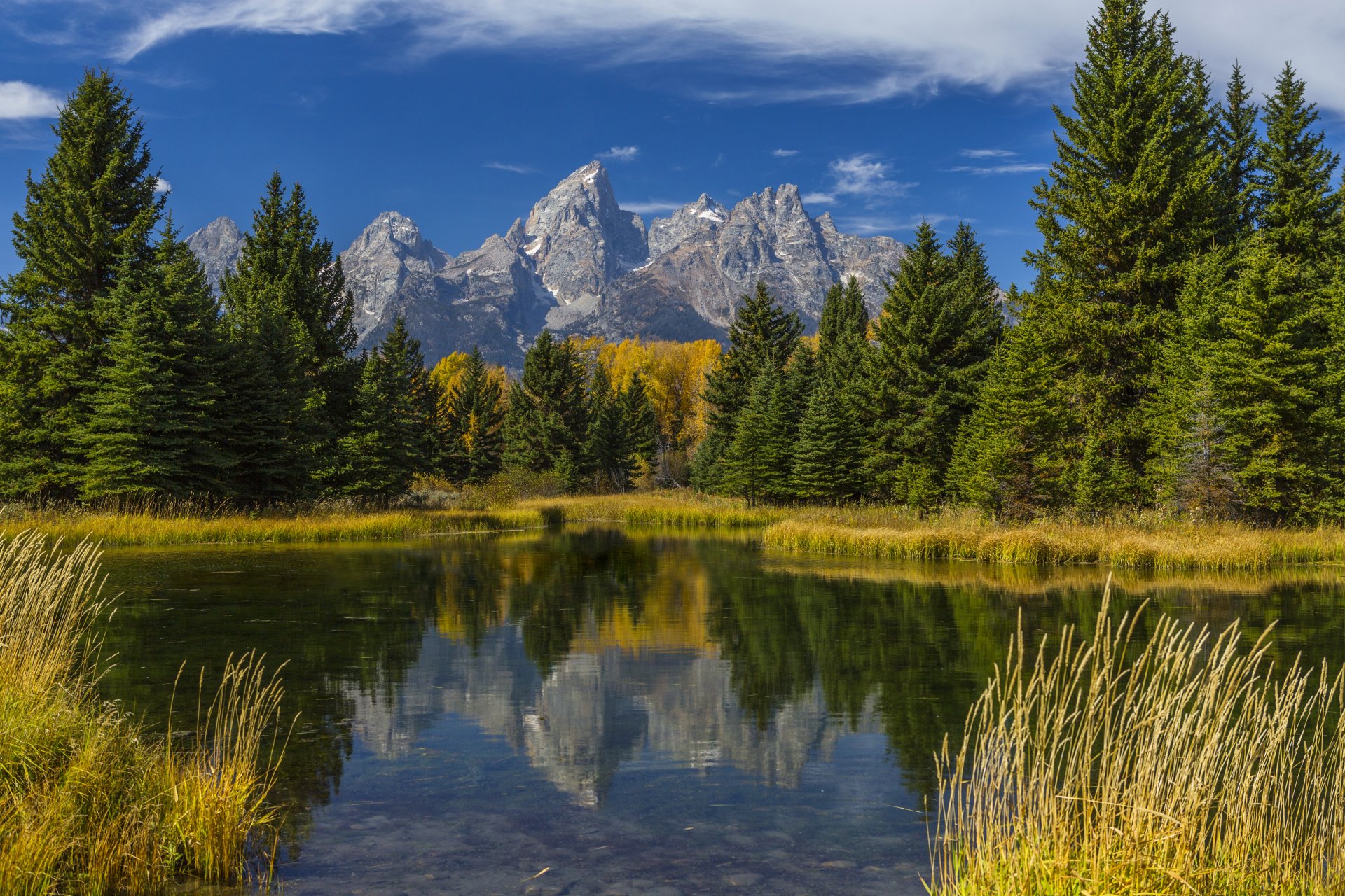 united states grand teton wyoming forest mountain lake reflection grass tree autumn