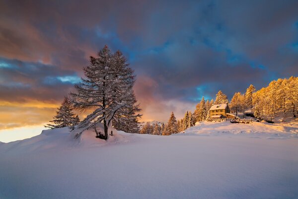 Bosque de la mañana en invierno en la nieve. Casa solitaria en el bosque nevado