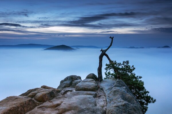 Sulla scogliera della montagna in cloud bezbrezhye