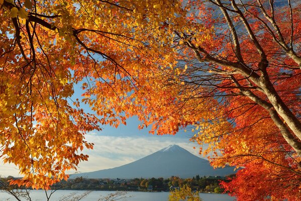 Japanischer Berg Fujiyama im Herbst