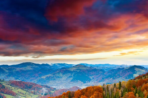 Bosque de otoño en las montañas bajo el cielo brillante