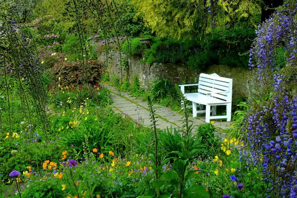 A bench in the garden among flowers
