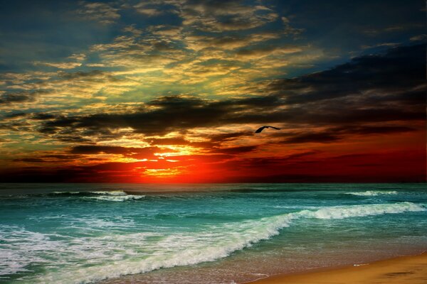 Landscape of a tropical beach at sunset