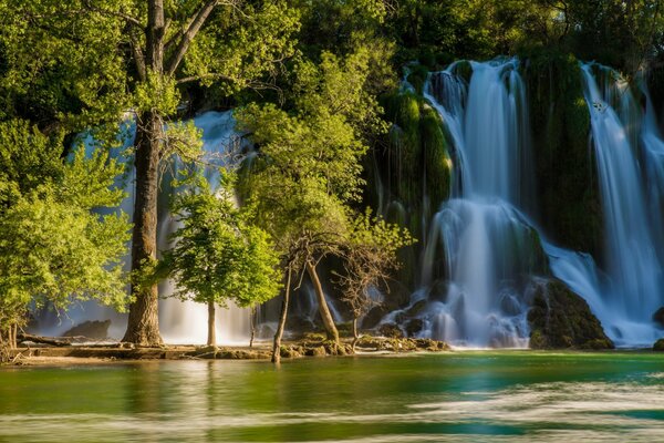 Waterfall among trees, rocks