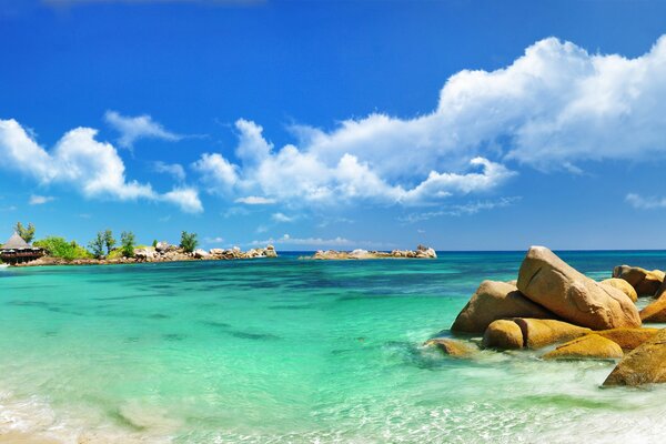 The sea coast with palm trees and stones