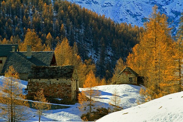 Casa tra la neve autunnale e la foresta