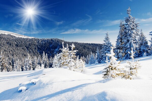 Paesaggio invernale, sole splendente, luce bianca come la neve