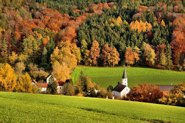 Three colors of the autumn forest