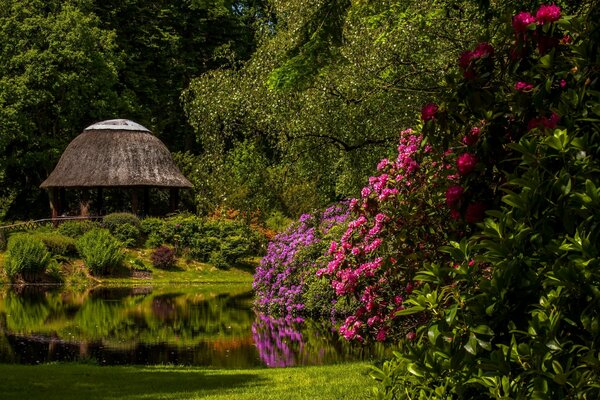 Gazebo in nature by the pond