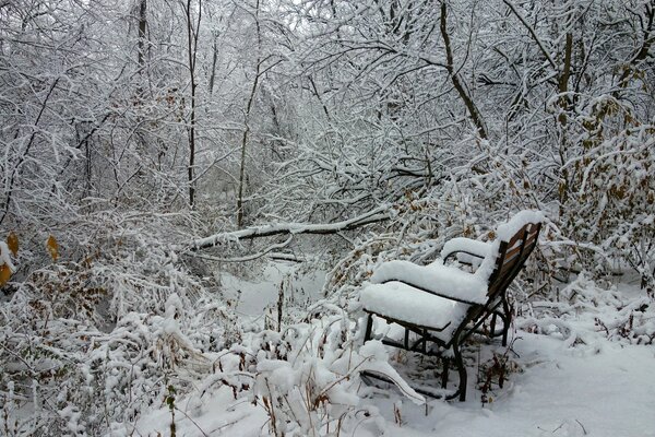 Zimowy krajobraz . Drzewa i ławka w śniegu