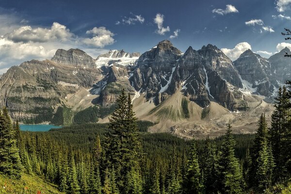 Paysage avec de hautes montagnes et des arbres