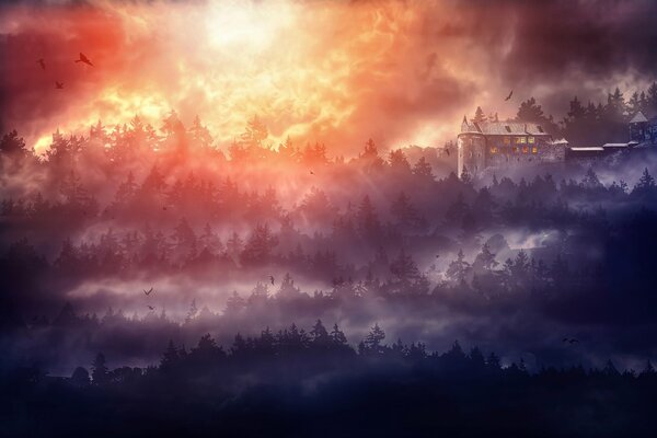 Schloss im dichten Nebel in der Abenddämmerung