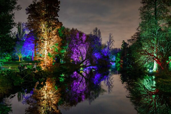 Ночь в парке. Деревья светятся. Красивый пруд в парке