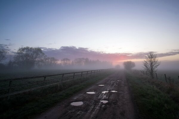 Mañana, niebla, camino a ninguna parte