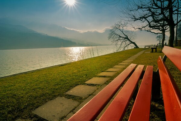 View from a bench on a lake in Switzerland