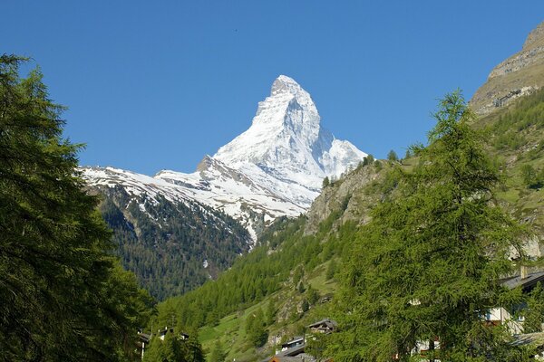 Schneebedeckte Piste und Bäume in der Schweiz