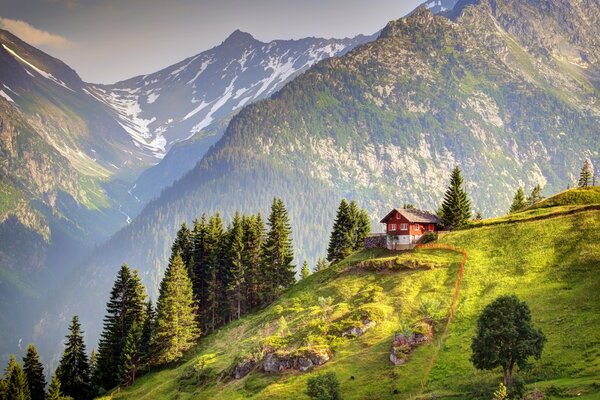 Szwajcaria. alpejskie piękne góry
