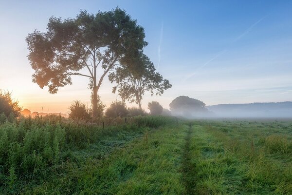 Paysage de champ du matin avec brouillard