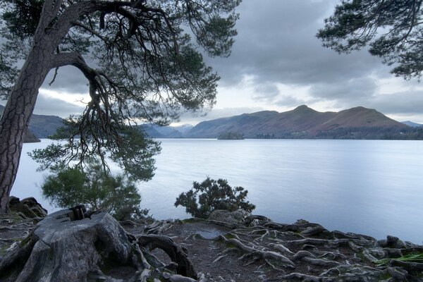 Lac couvert parmi les arbres