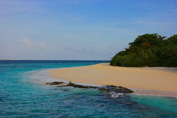 Côte Des Maldives. Océan bleu