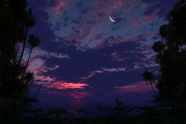 Media Luna en el cielo azul de la noche