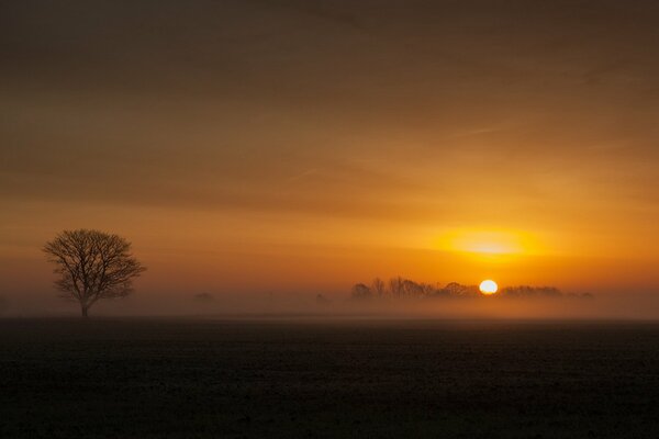 Blick auf den Sonnenuntergang im Nebel im Hintergrund der Natur