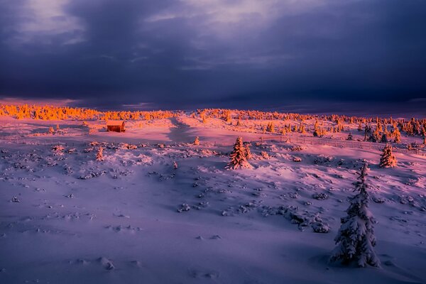 Matin d hiver est le moment idéal de la journée