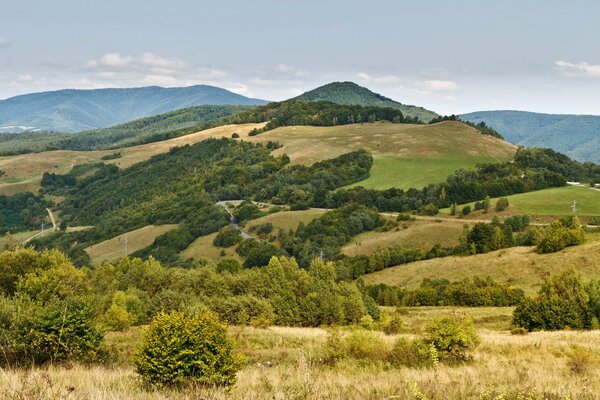 Ein wunderschöner Berg mit Wald und Feldern