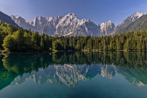 Reflet des montagnes et de la forêt dans le lac comme dans un miroir