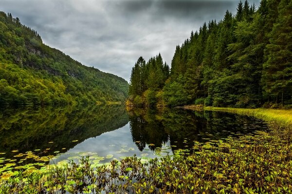 The forest lake is the cleanest