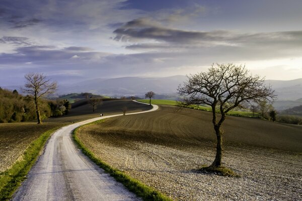 Longue route dans le domaine