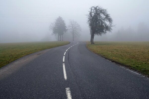 Morning fog when you wake up in the car on the way home