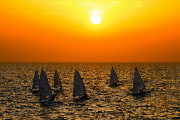 Sunset by the sea. six boats