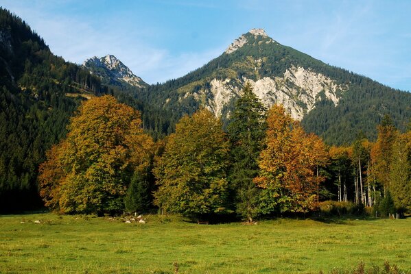 Terreno montuoso austriaco circondato da boschi e campi