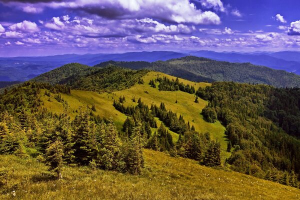 Montañas de los Cárpatos en Ucrania en verano