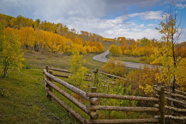 Bosque amarillo con valla de madera