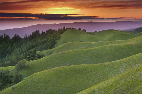 Collines vertes sur fond de coucher de soleil