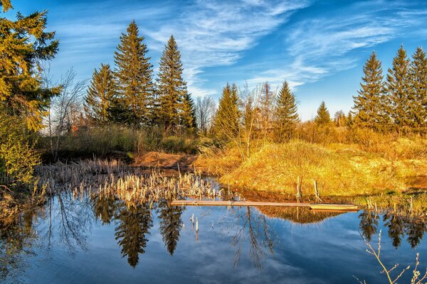 Autumn forest with lake and clear sky