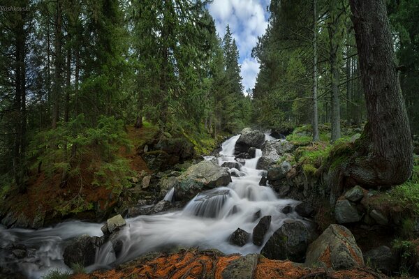 Parco Nazionale della Bulgaria